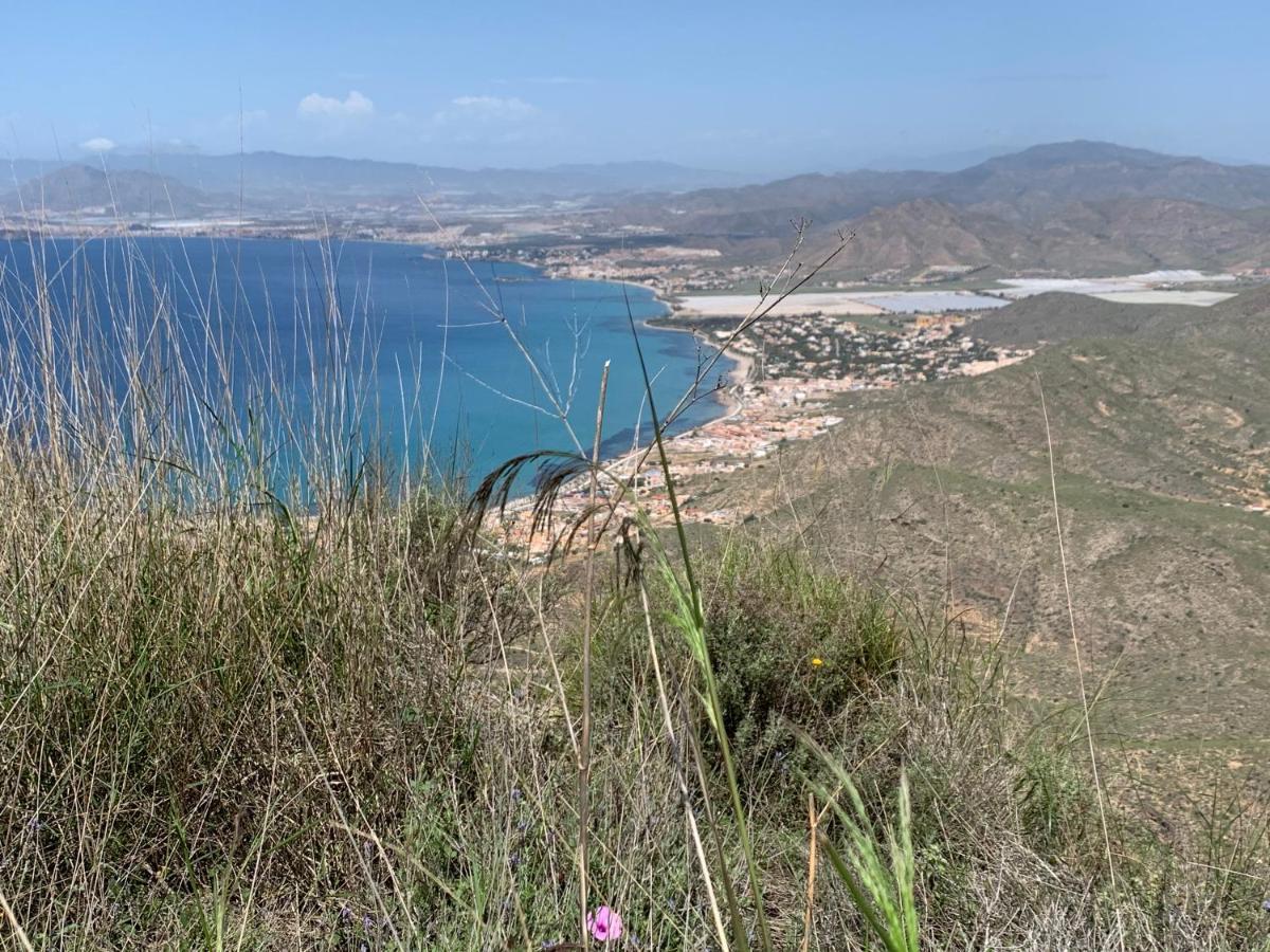 Apartment Naranjo 7 - N565 - 2 Bathrooms In Golf *